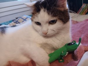 cat_hugging_alien_plush_noora